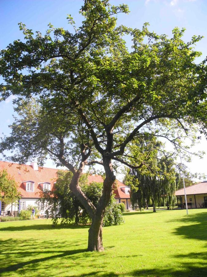 Inspiration Center Denmark, Bed & Breakfast 马里博 外观 照片