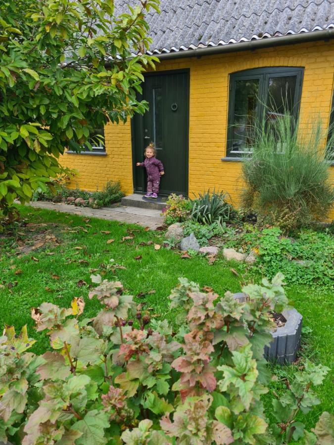 Inspiration Center Denmark, Bed & Breakfast 马里博 外观 照片